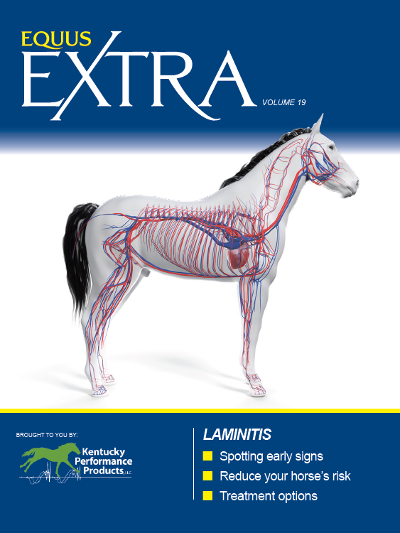 EQUUS Extra Laminits