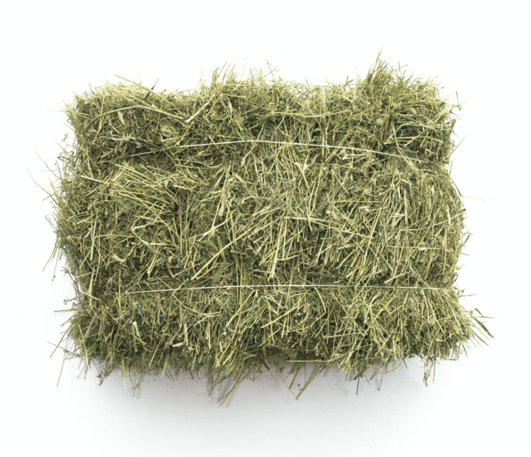 Screen Shot 2020-05-12 at 3.07