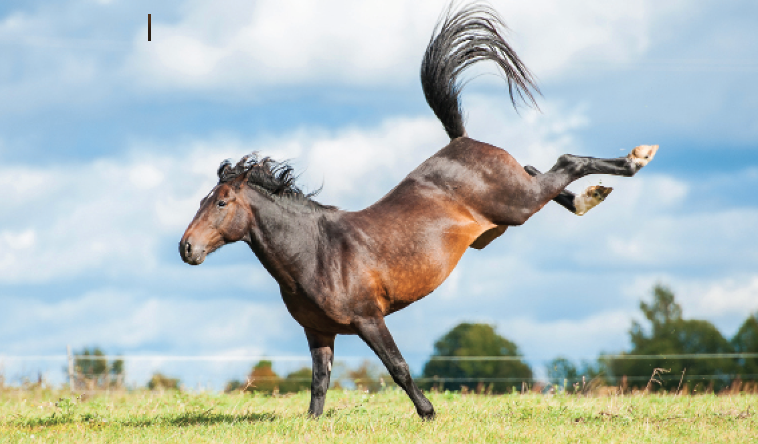 Screen Shot 2020-09-22 at 6.44