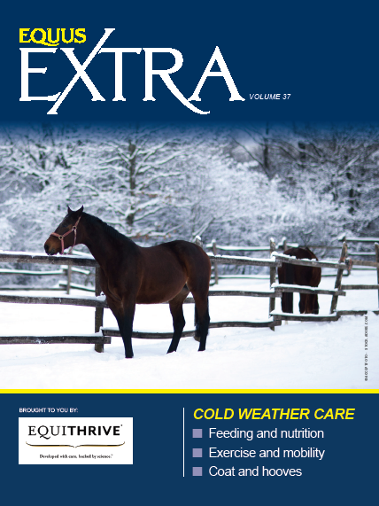 EQUUS Extra cold weather care