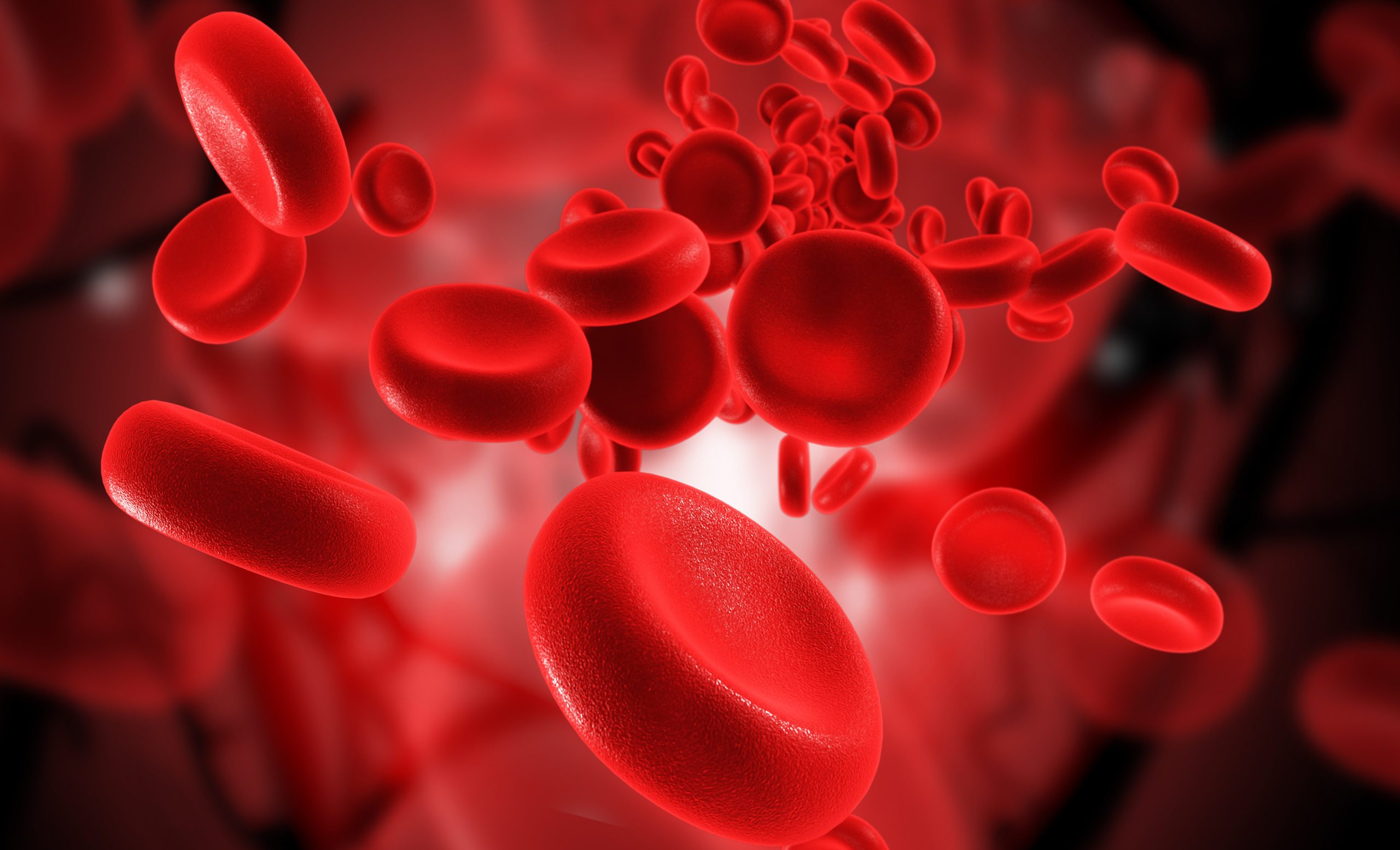 Understanding anemia in horses