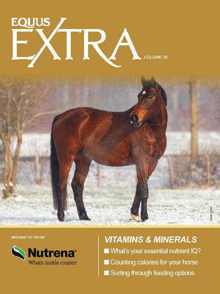 Equus Extra Volume 38