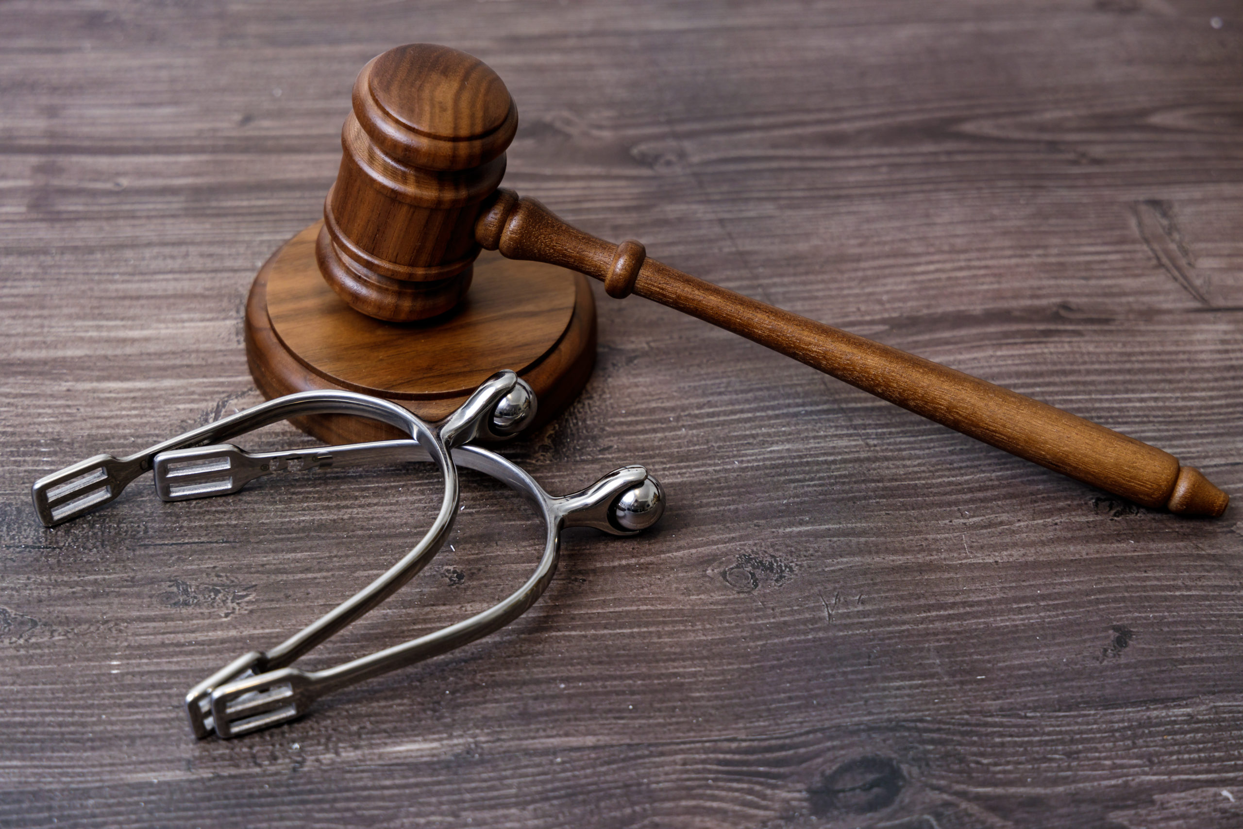 Newly introduced legislation aims to better Enforce the Horse