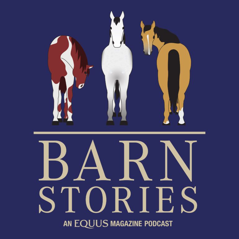 BarnStories-Album-3000x3000