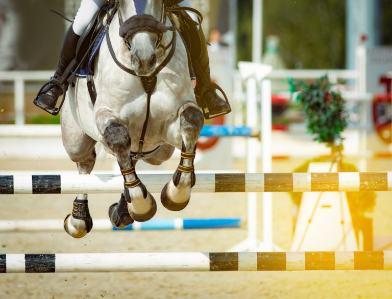 A horse going over a show jump