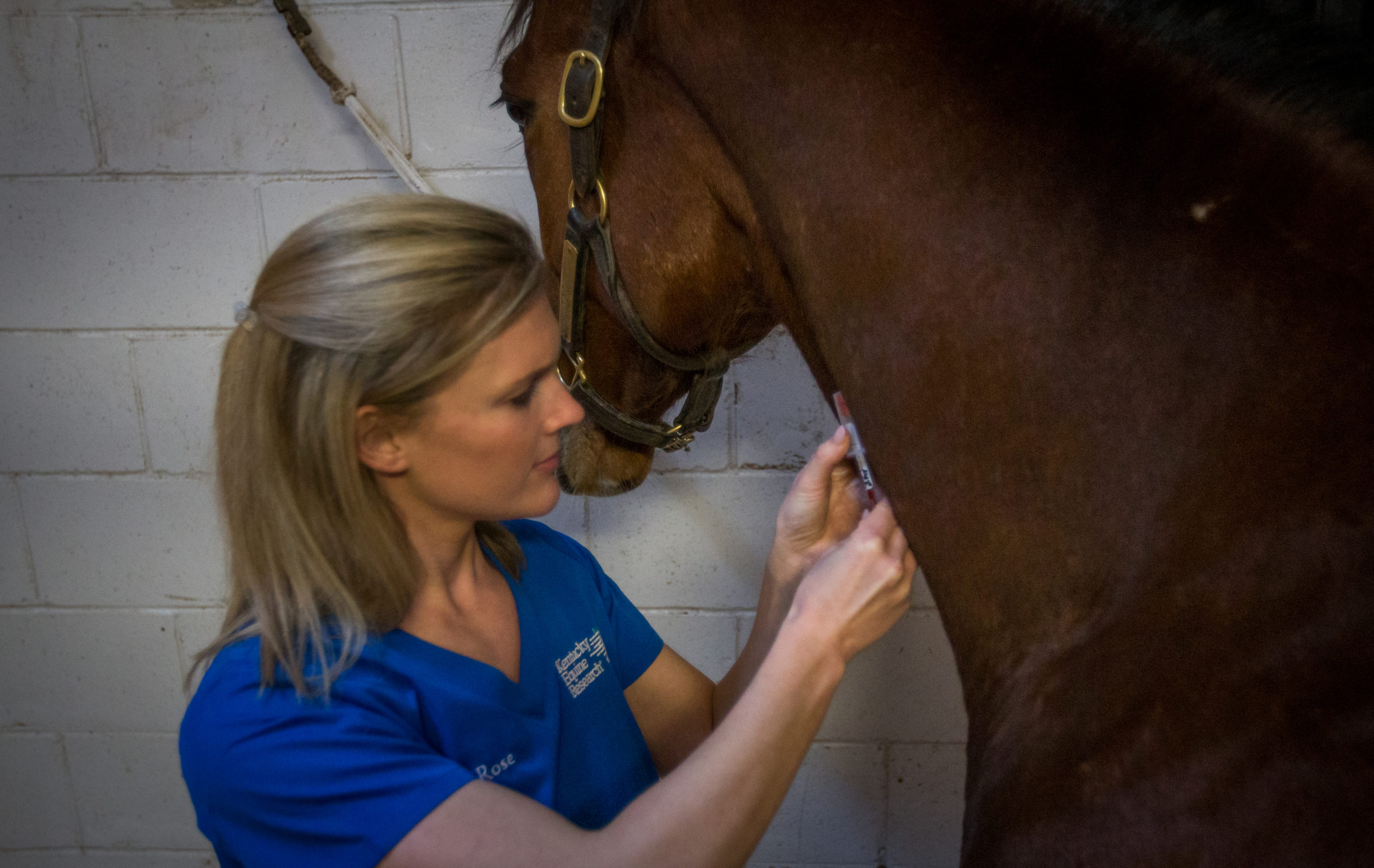 Vitamin E What You Don’t Know Can Hurt Your Horse Equus Magazine