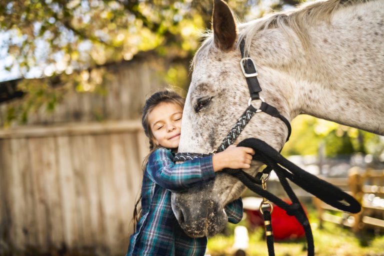 A young girl hugging a horse's head