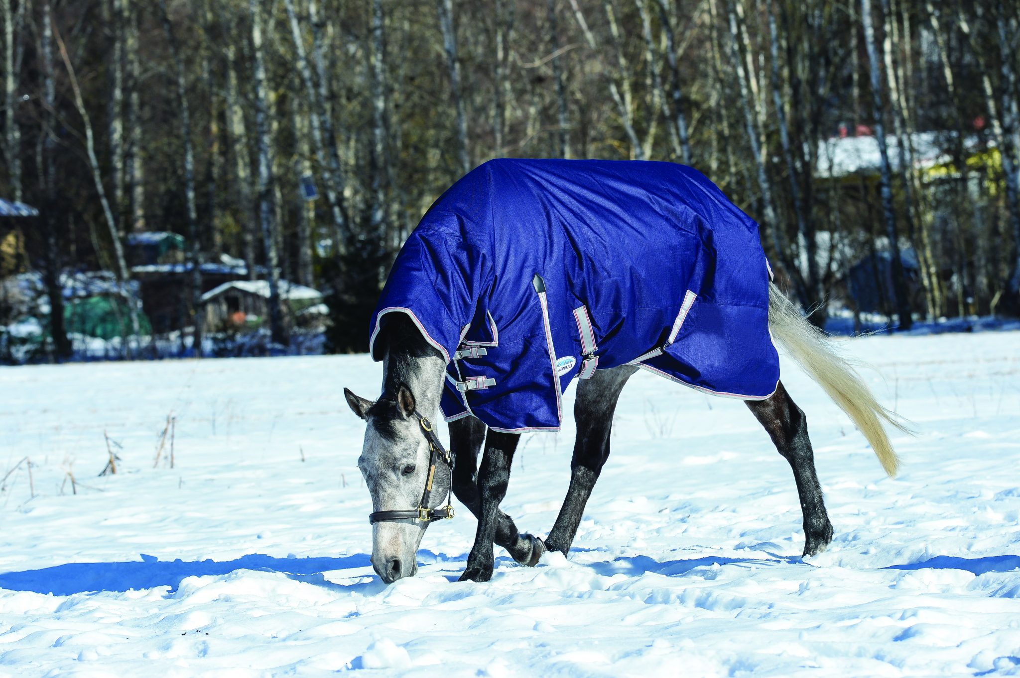 Winter Blankets You've got questions, we've got answers Equus Magazine Blanketing Guide