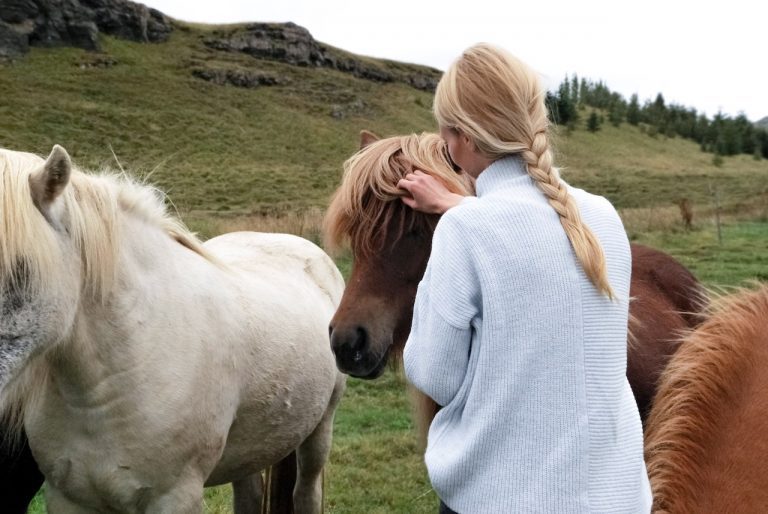 happy horses