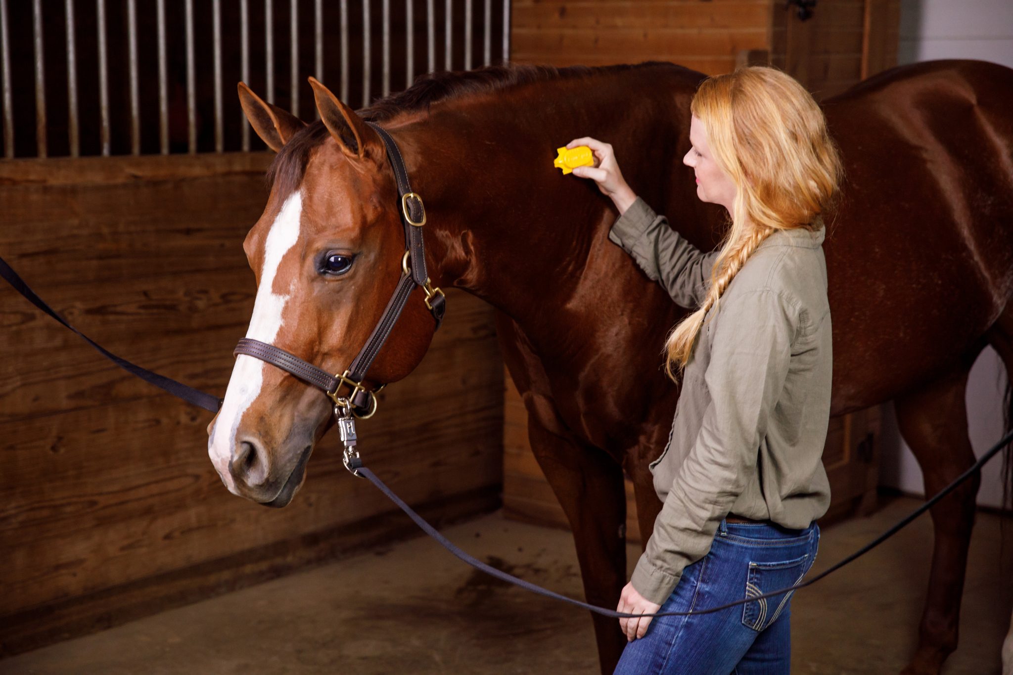 Tickborne Diseases and Tick Prevention for Horses Equus Magazine
