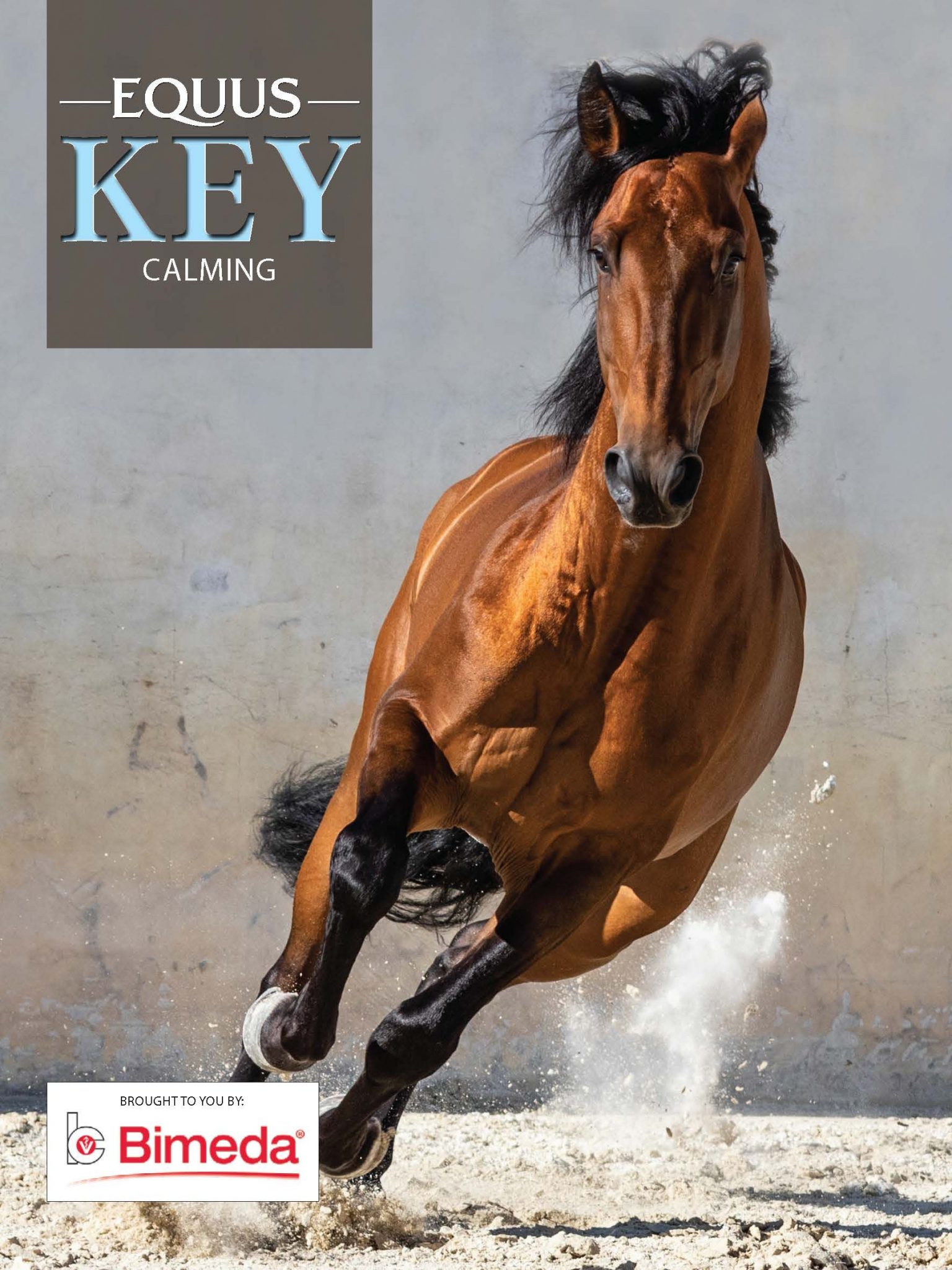 Four drugfree ways to calm your horse Equus Magazine