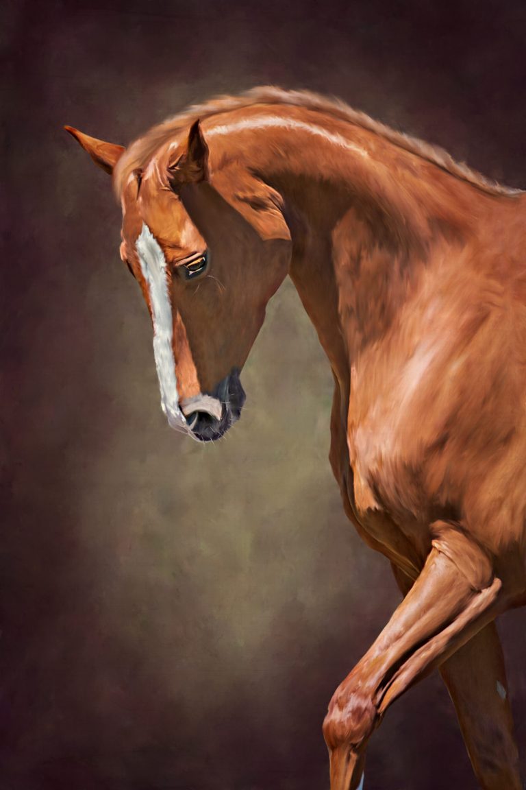 portrait of a brown horse
