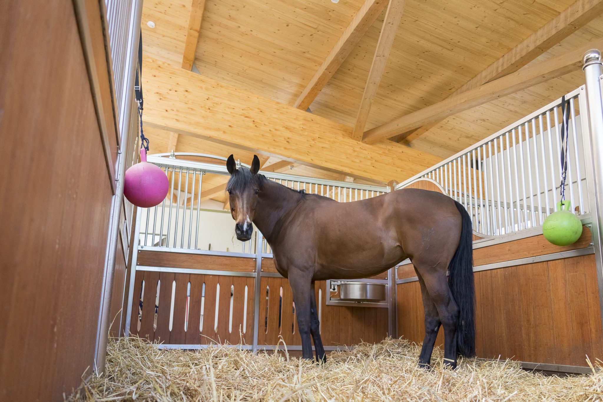 Is agricultural lime safe for horse stalls? Equus Magazine