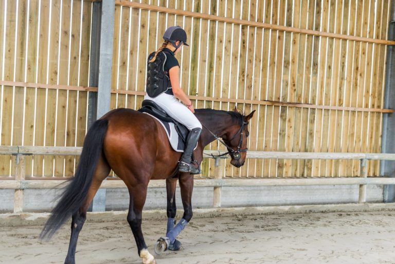 image of horse with rider wearing safety vest, taken from the back