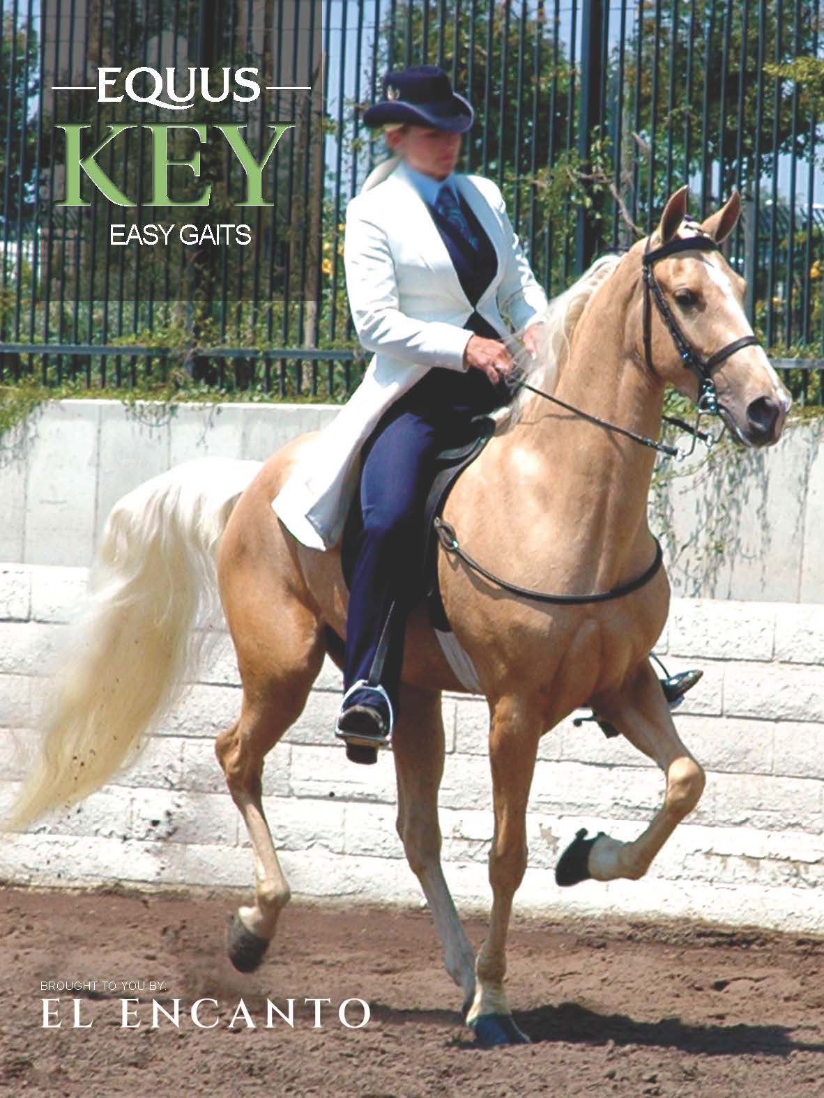 Easy gaits Equus Magazine