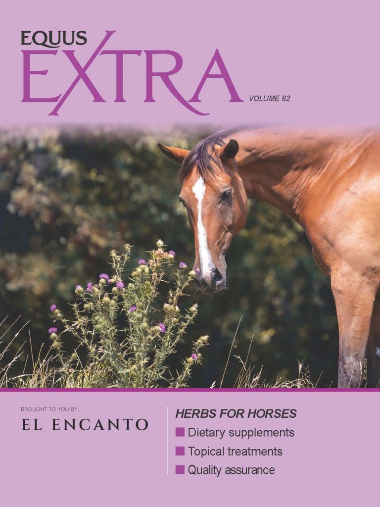 Cover of EQUUS Extra Vo. 82