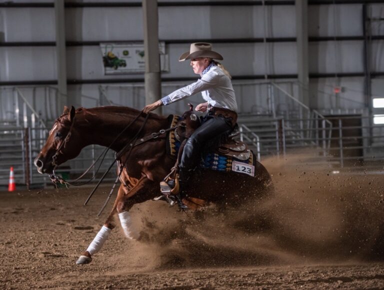 MicrosoftTeams-image-1367