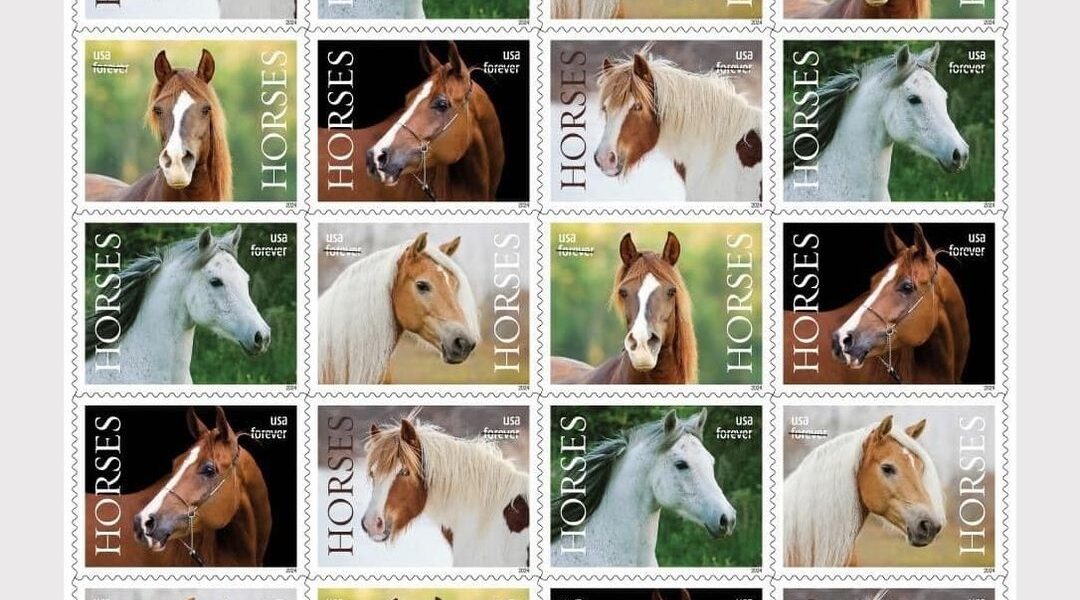 Panel of prelim designs for 2024 horse stamps from USPS