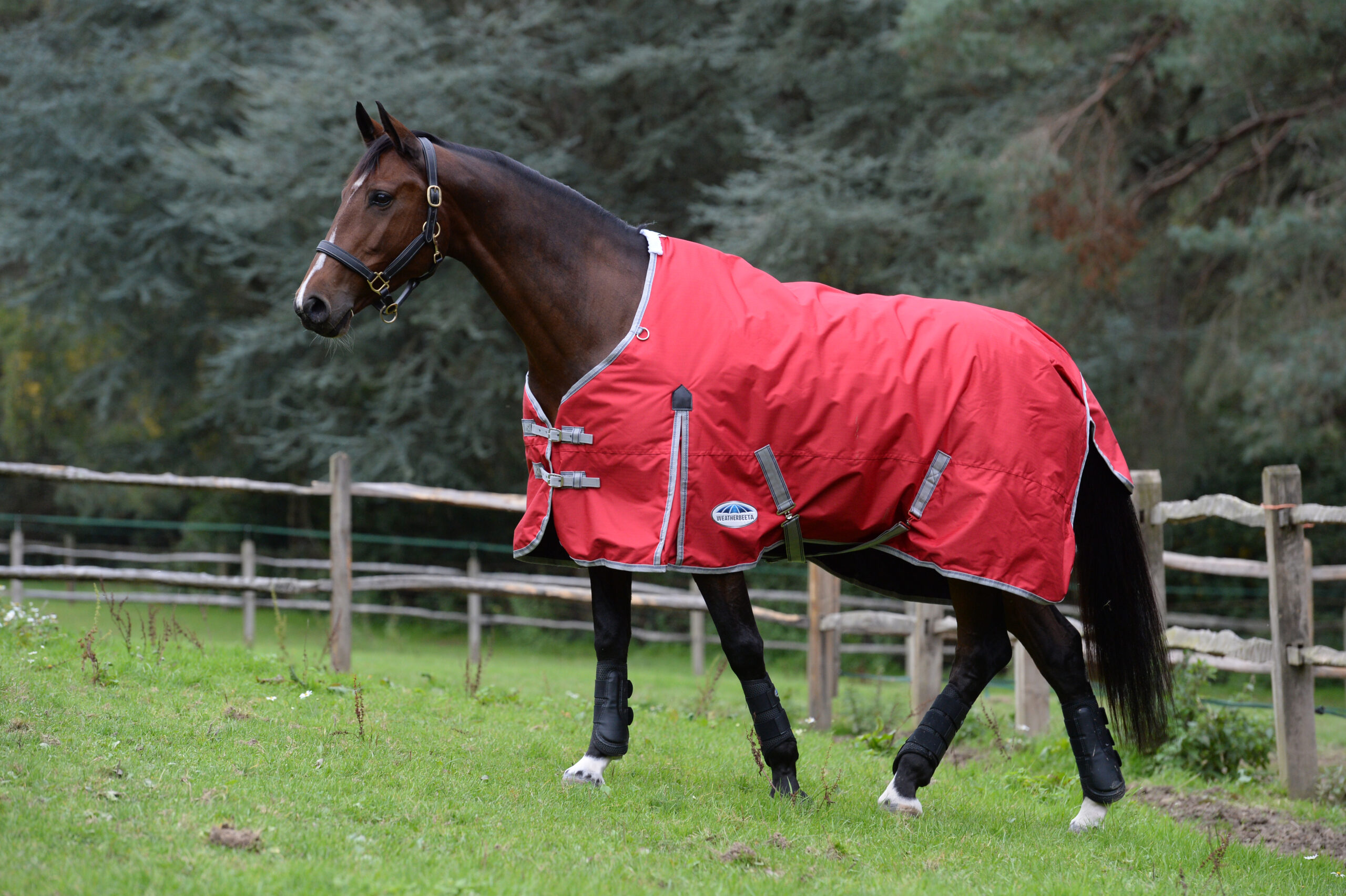 'Blankets For Bales' program supports A Home For Every Horse Equus