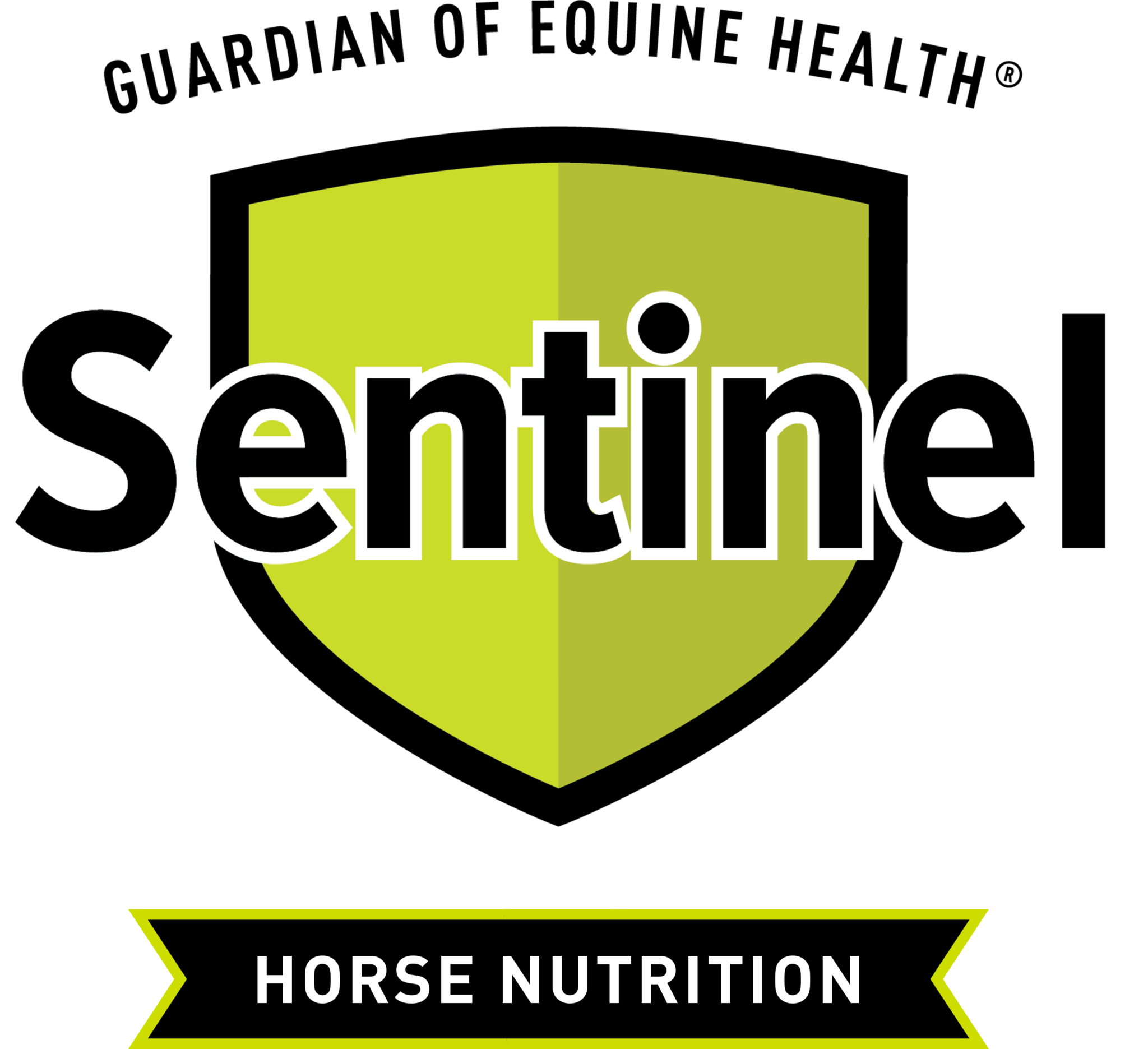 Your Senior Horse Essential Feeding Tips Equus Magazine
