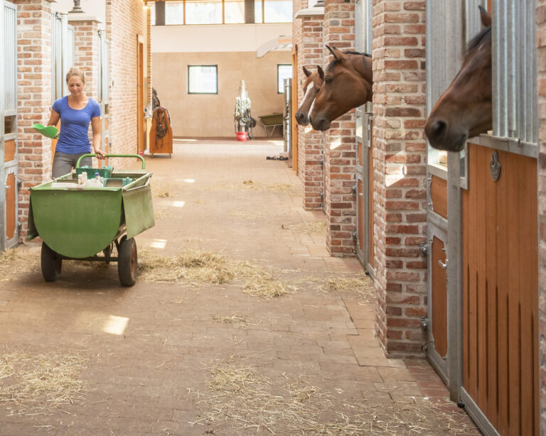 Feeding-feeding-time-GettyImages-483185809