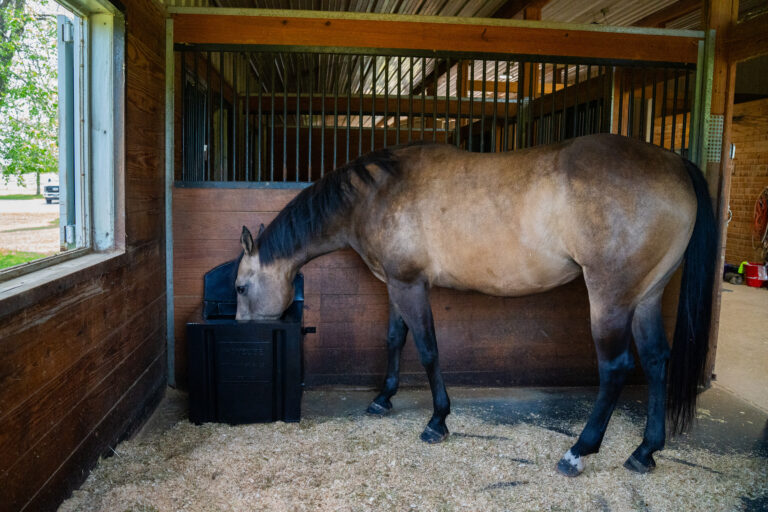 Haycube in stall