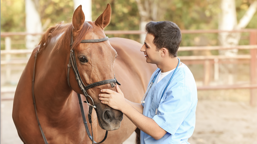 Screenshot 2025-10-27 at 2.16