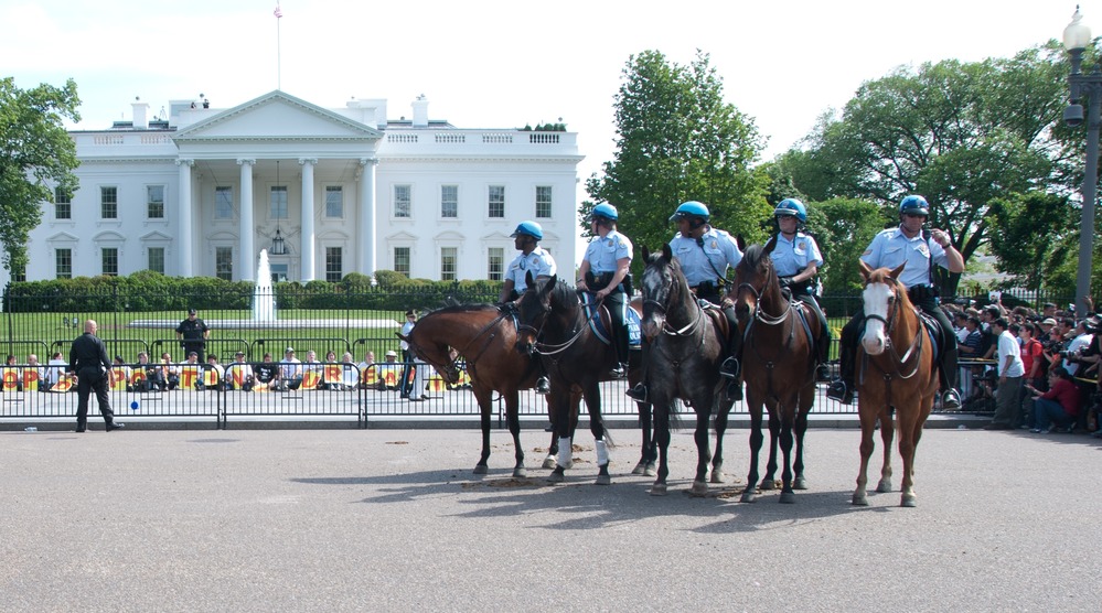 Image of DC mounted park police with White House in background