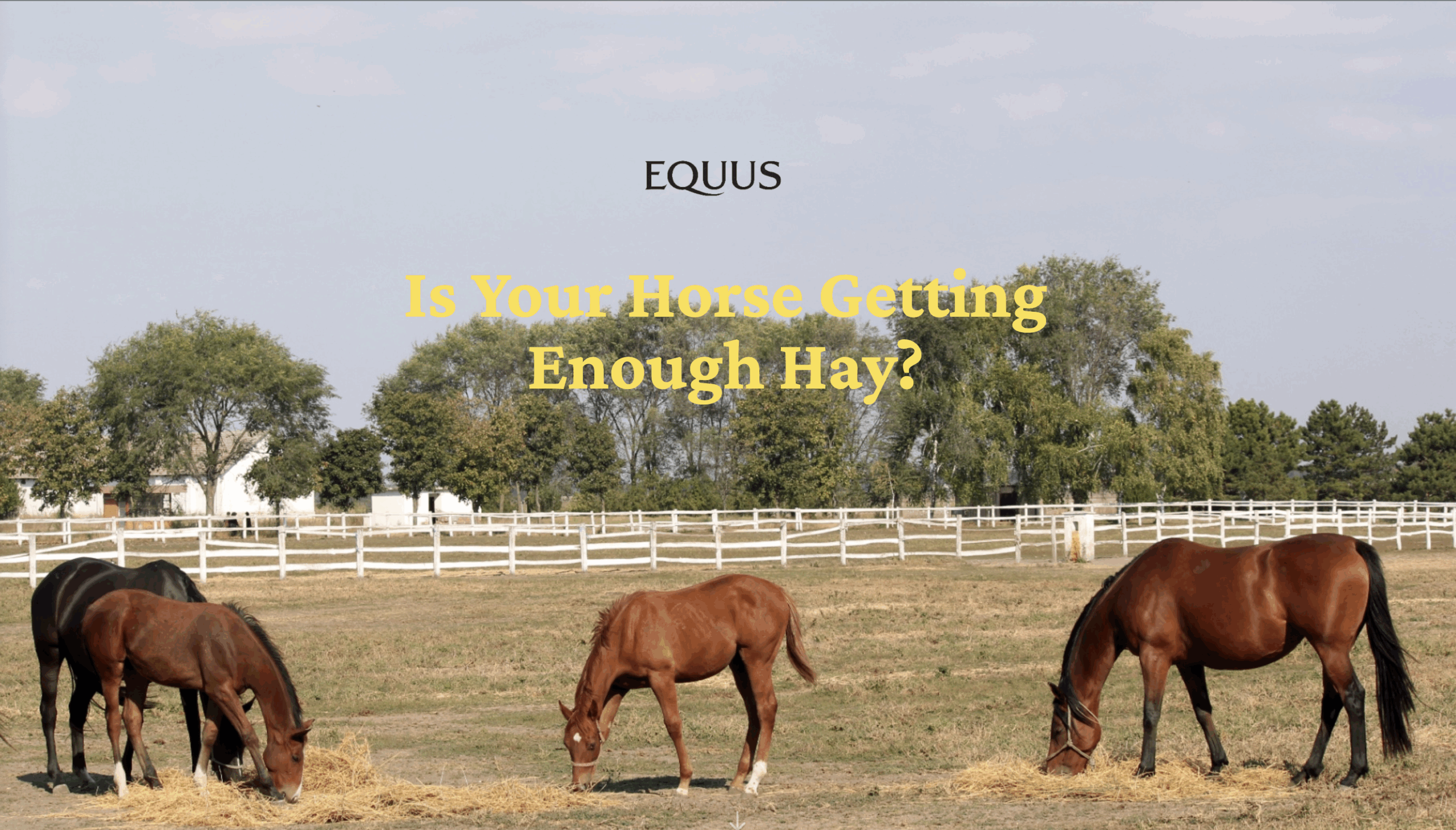 Screenshot 2025-11-03 at 12.38