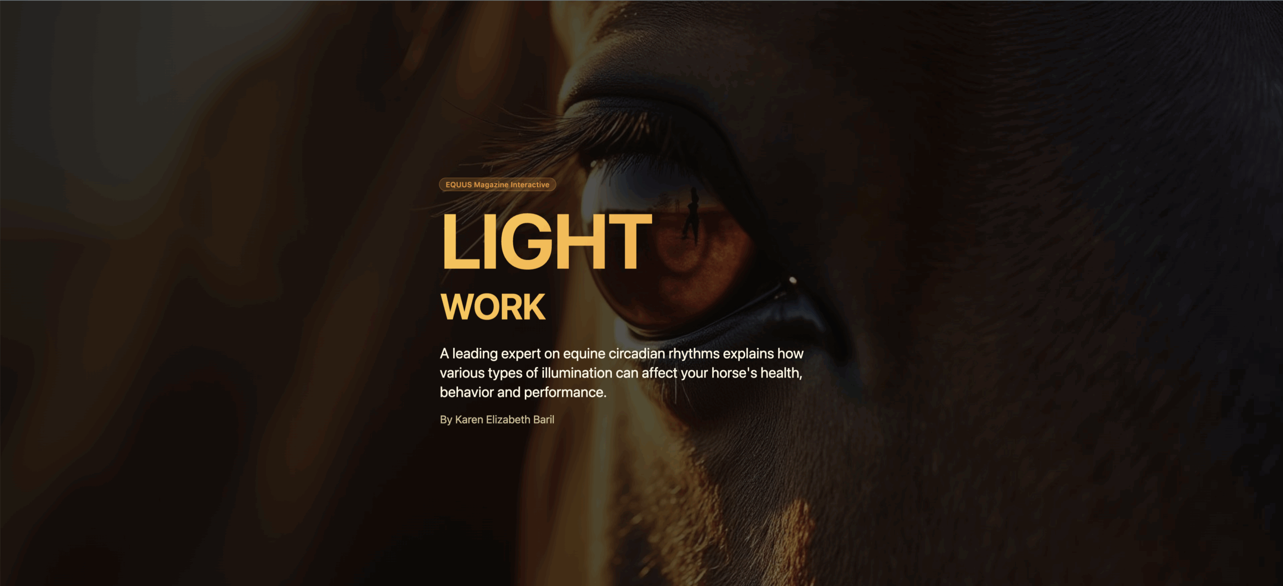 Screenshot 2025-11-04 at 9.55