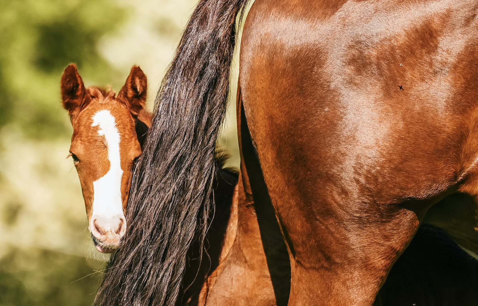 Screenshot 2025-11-04 at 8.51