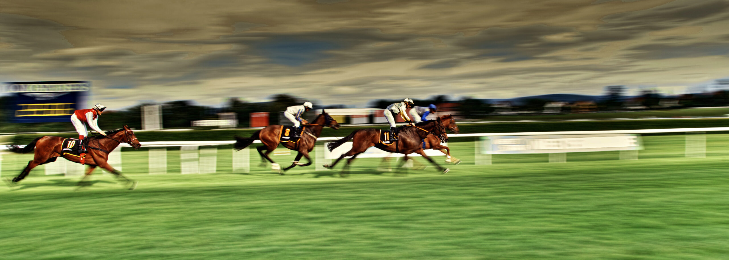 Pferderennen Gallopprennen