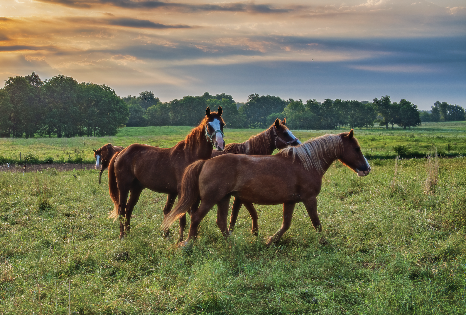 Screenshot 2025-12-07 at 4.31