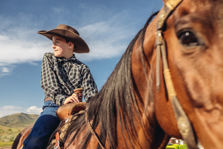 Young boy in cowboy attire sits on a bay horse and looks off in the distance