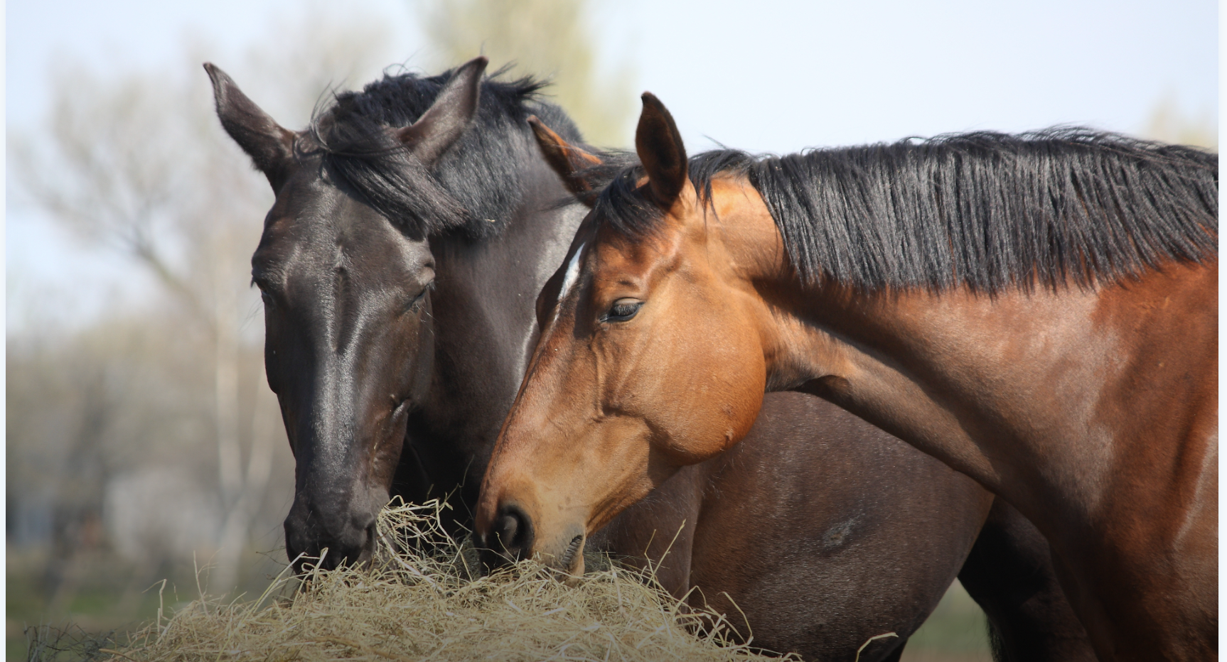 Screenshot 2026-01-14 at 1.46