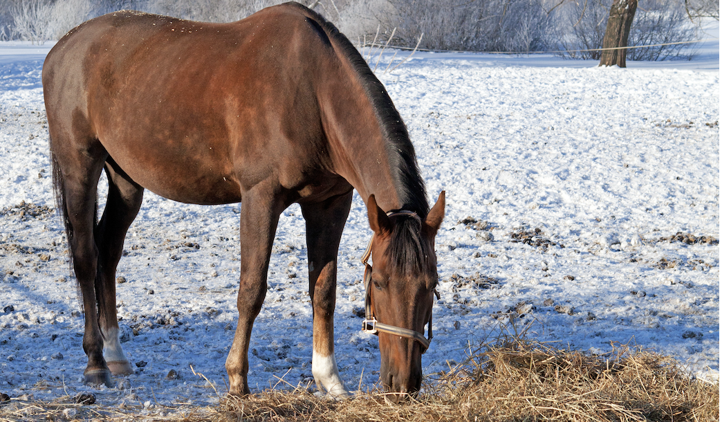 Screenshot 2026-01-26 at 2.54