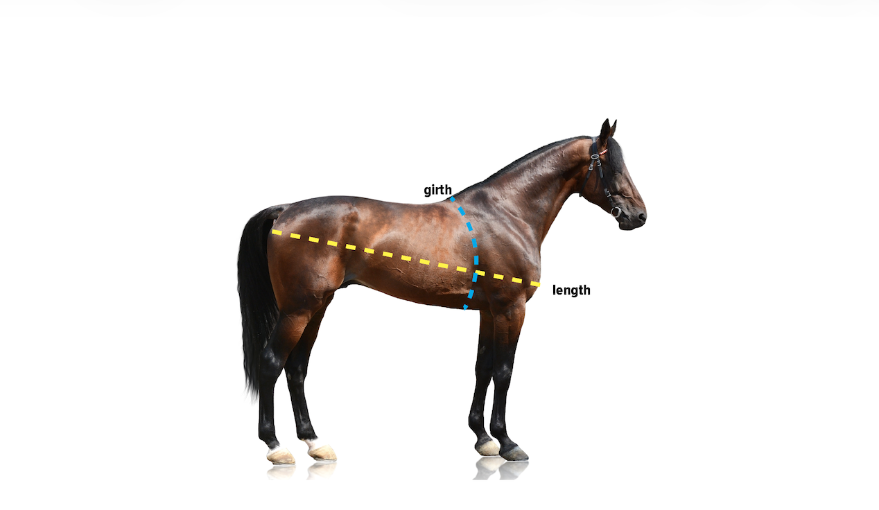 Screenshot 2026-02-02 at 3.28