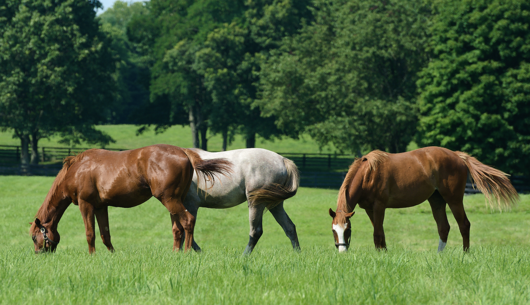 Screenshot 2026-03-02 at 2.55