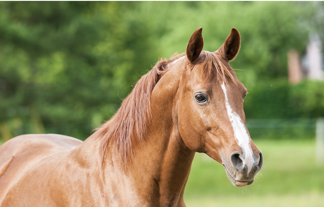 Screenshot 2026-03-02 at 3.55