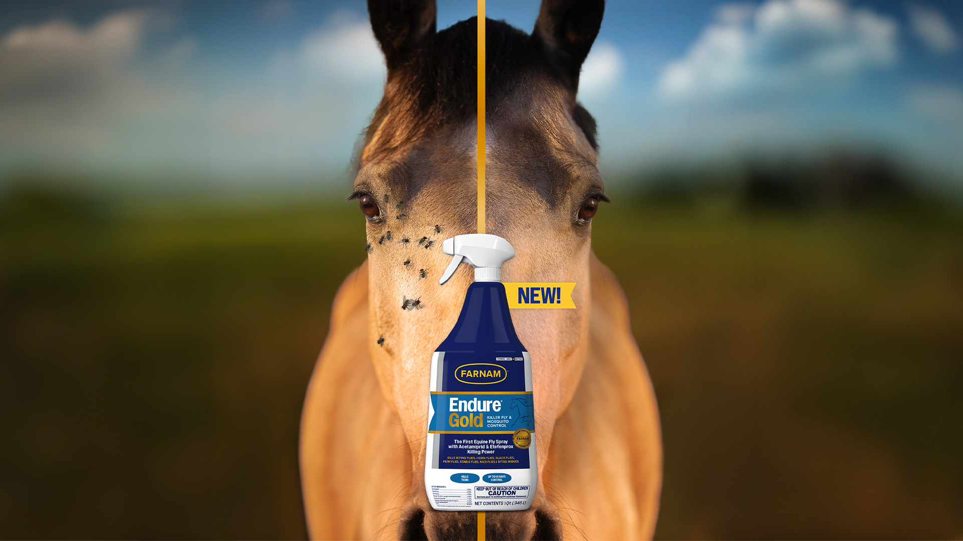 Buckskin Horse with Endure Gold Fly Protection