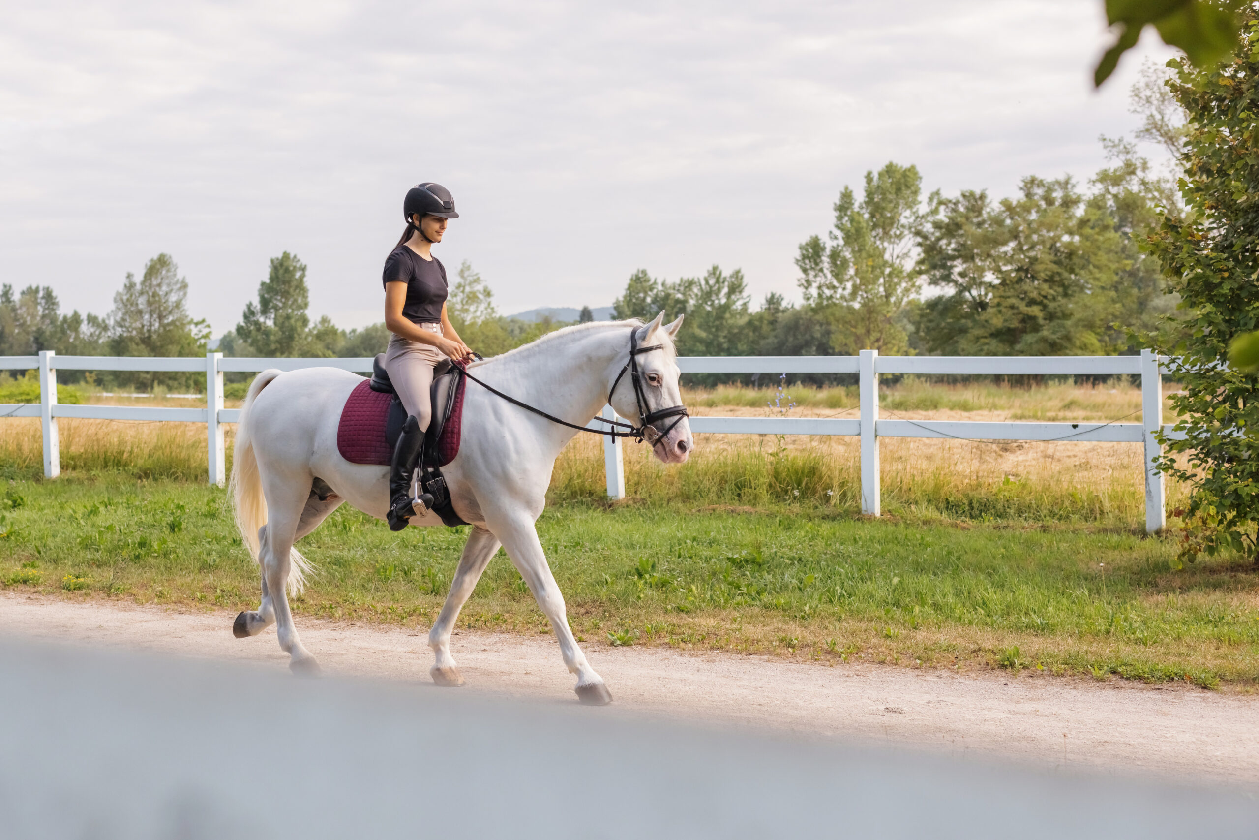 Girl in an equestrian outfit caressing a horse during riding