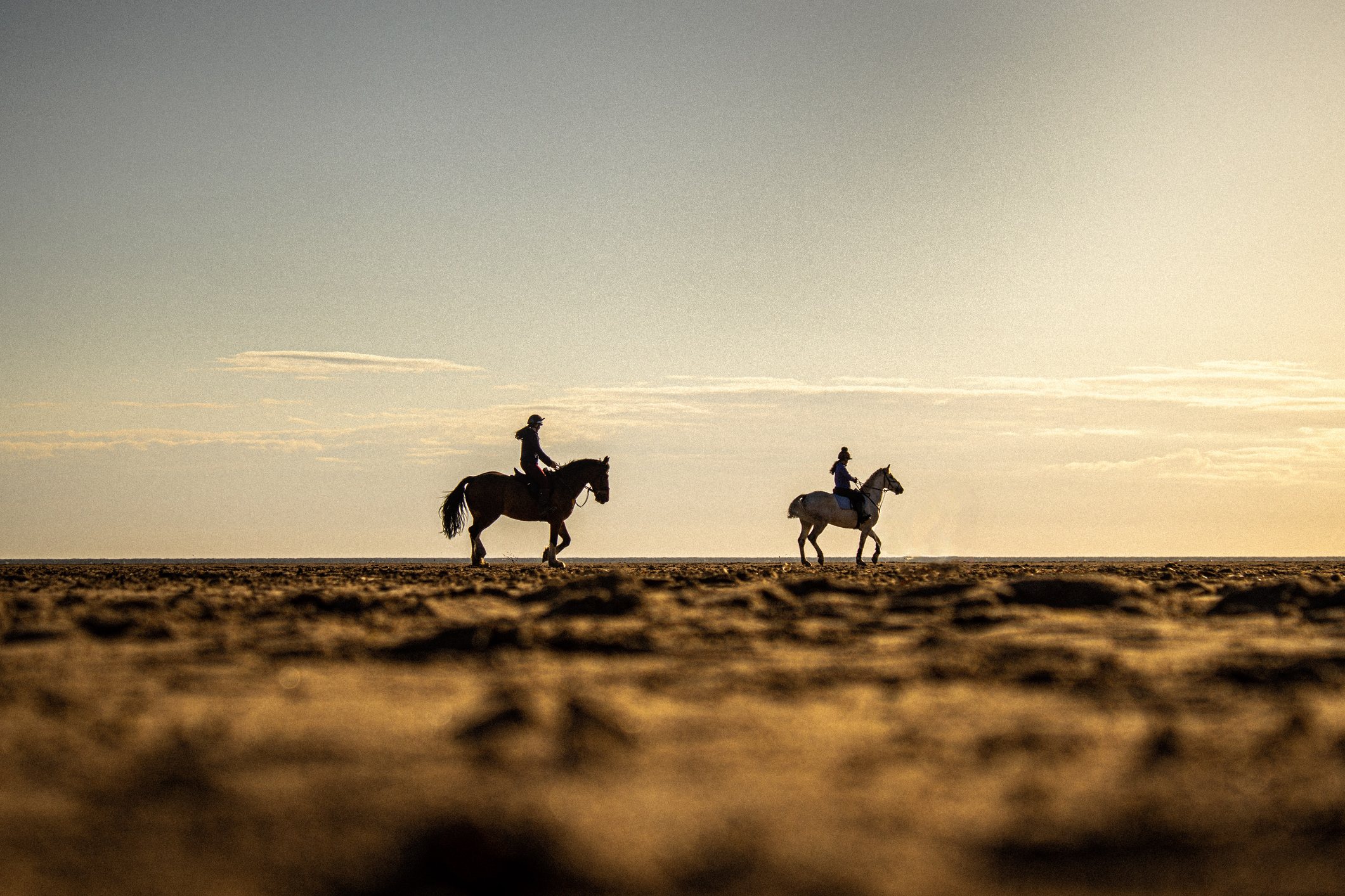 Two horses and riders negotiating a lonely looking landscape in early morning or evening light
