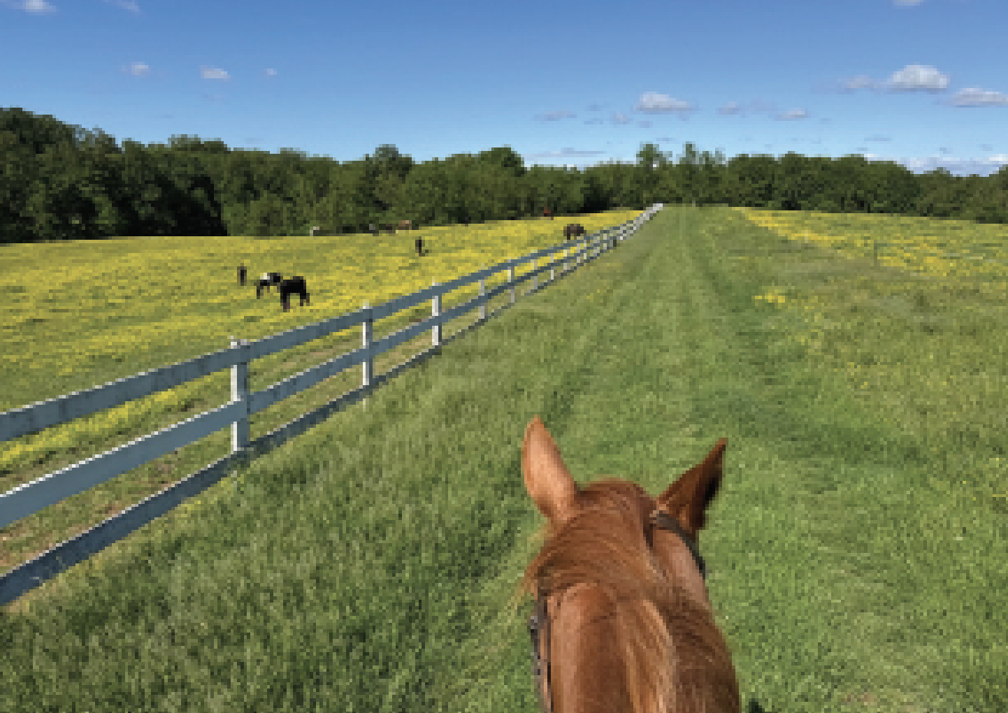 Screenshot 2026-04-08 at 8.09