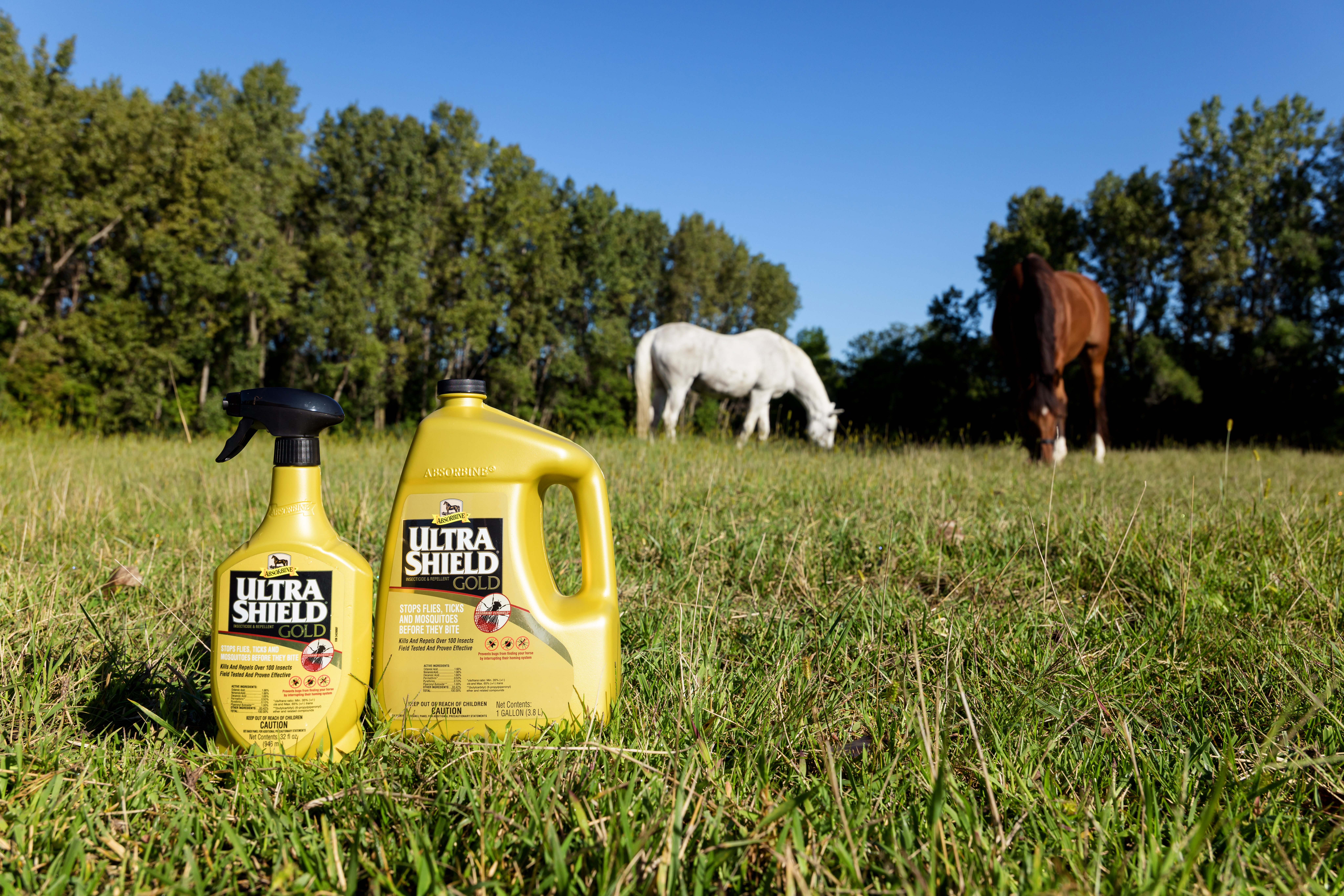 FlyShield® In a green pasture with two horses, one is grey one is brown. 