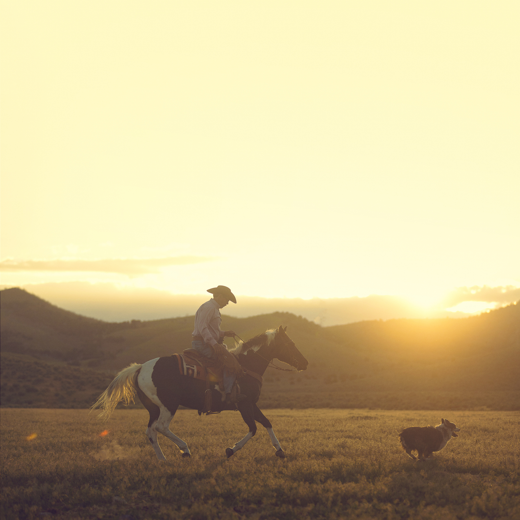 Cowboy, horse and dog against a sunset