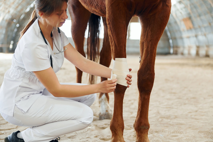 Bandaging wounds on the knee