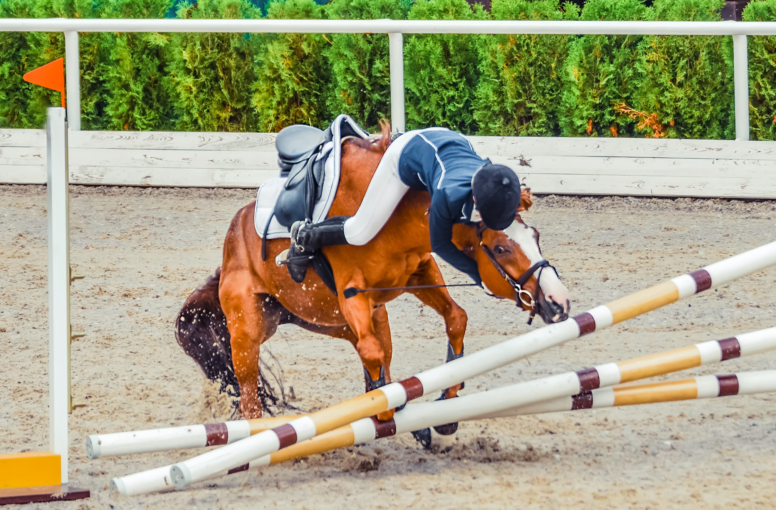 Young rider falling from horse during a competition
