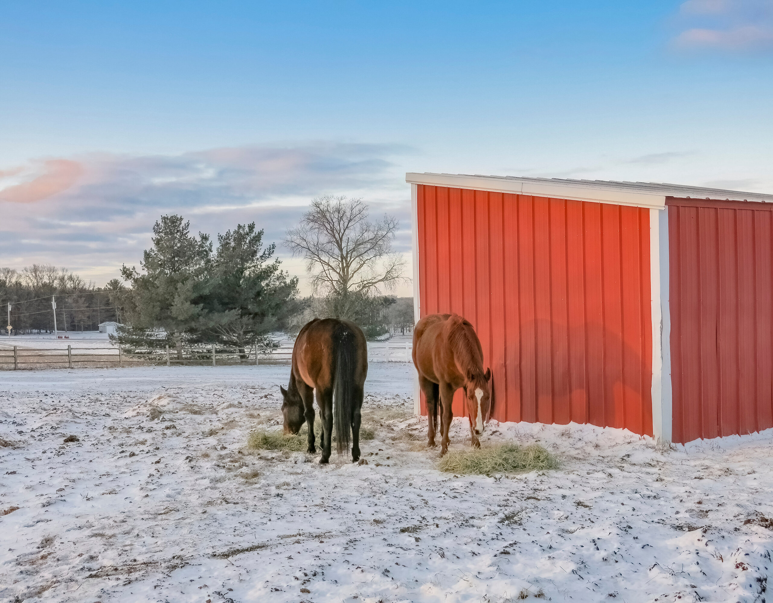 The 4 worst winter horse care challenges—and how to meet them