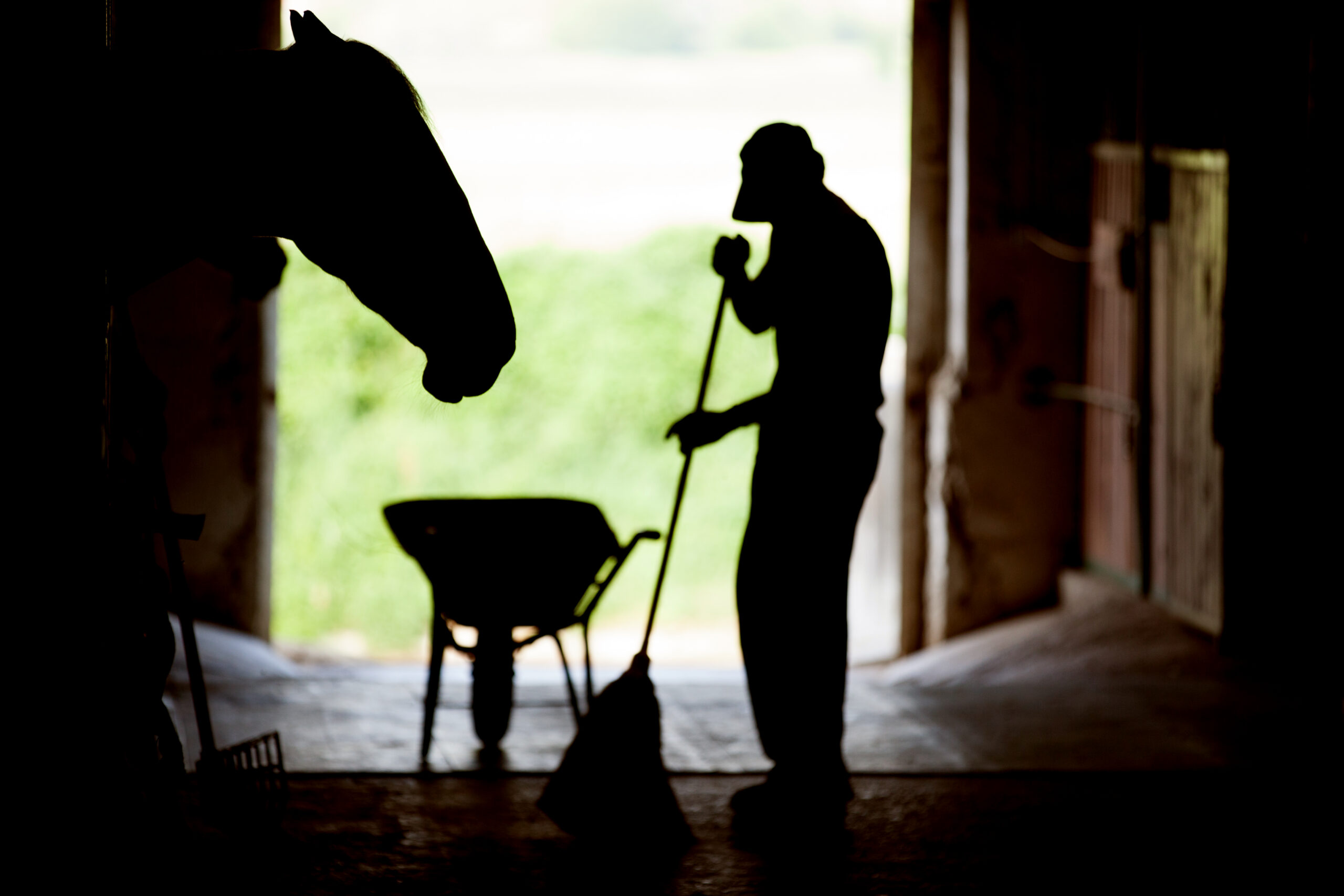 silhouette of stablehand at work with wheelbarrow with horse looking on from stall