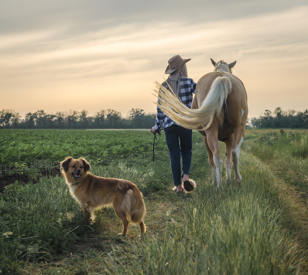 young blonde girl in a hat and a plaid shirt walks with a horse and dog on a farm in the village
